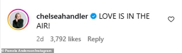 كتب الكوميدي تشيلسي هاندلر في جميع القبعات: 