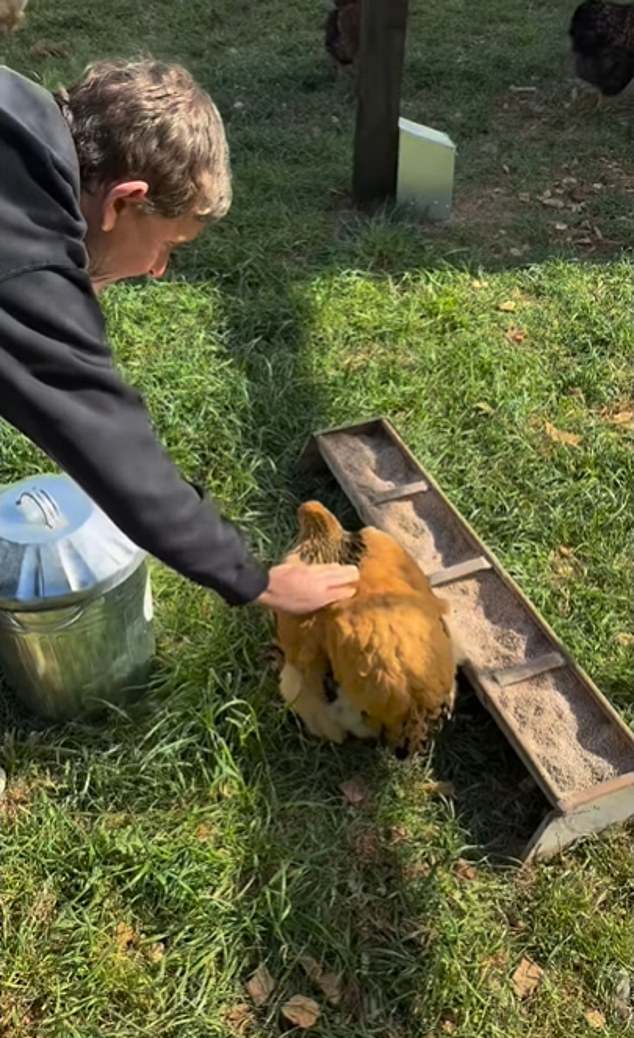 منذ أن تتحرك عبر البركة ، وبحسب ما ورد وقعت DeGeneres في حب الطبيعة الريفية لـ Cotswolds ، وهي توثق نفسها بانتظام وهي تقود جزئيها في الحشائش وتغذية دجاجها وأغنامها على Instagram