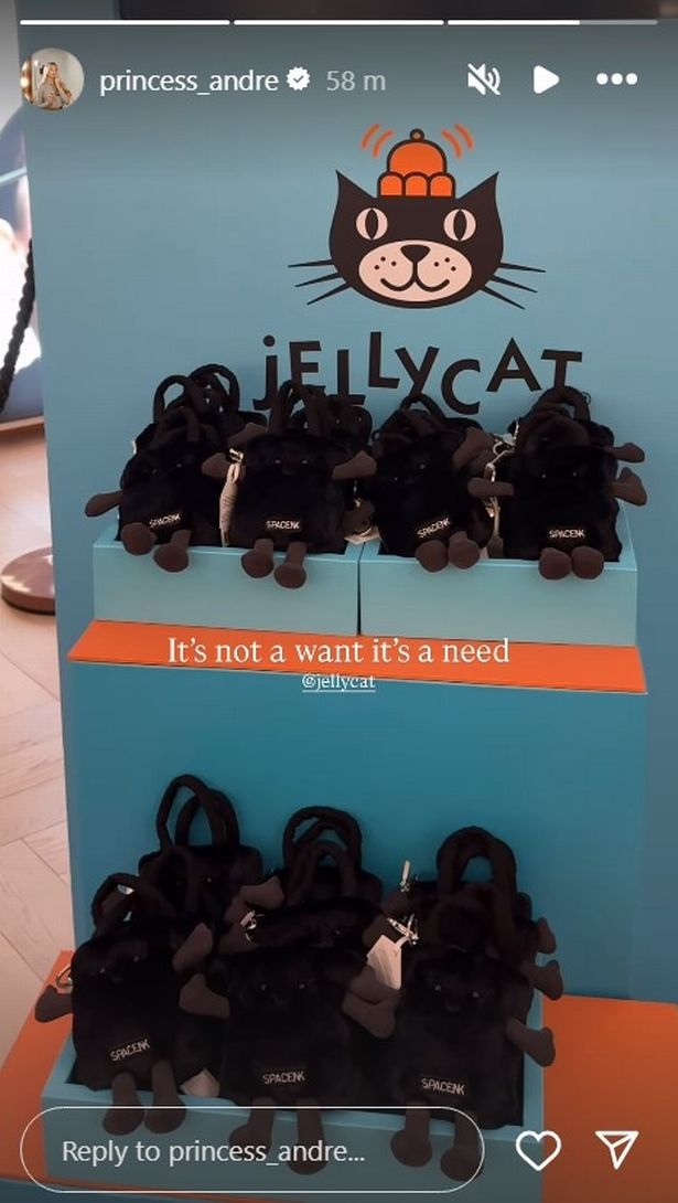 عرض سحر حقيبة jellycat في متجر.