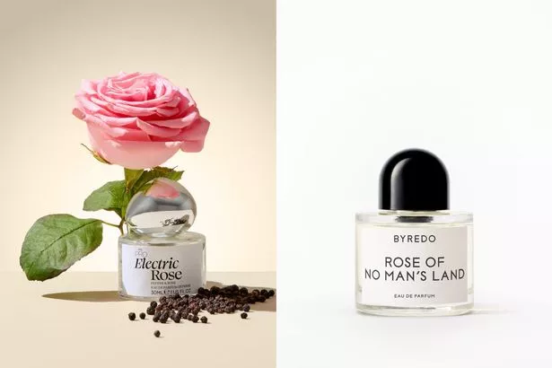 كيف تقيس واحة Primark Nomad و Electric Rose ضد أرض Byredo's Rose of No Man و Dawn Dawn؟