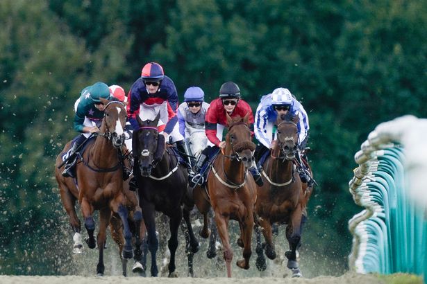 يستضيف Lingfield Park بطاقة من ثماني مرات في جميع الأحوال الجوية يوم الثلاثاء حيث تم تخيل قيلولة Newsboy ، Carrier ، للفوز بـ 7.10