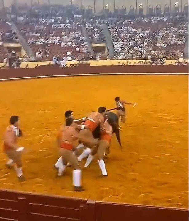 حاول زملاء Trindade مساعدته