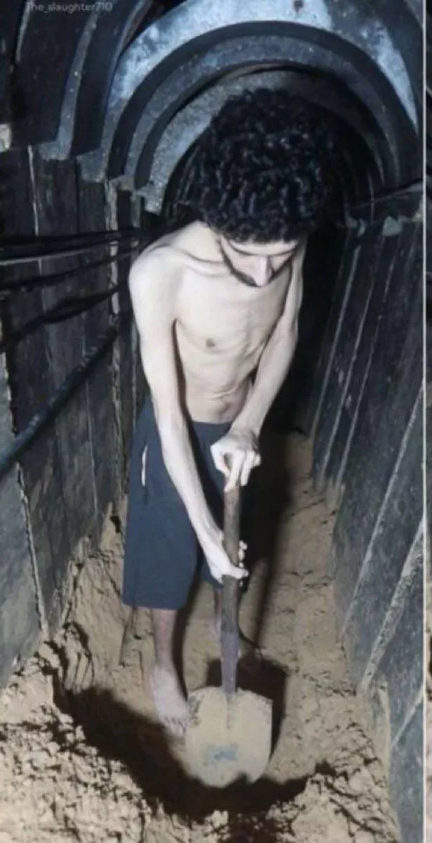 إيفياتار ديفيد