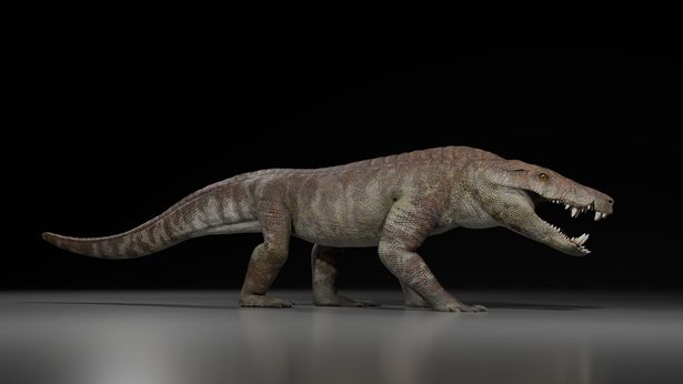 إعادة بناء Kostensuchus atrox CGI