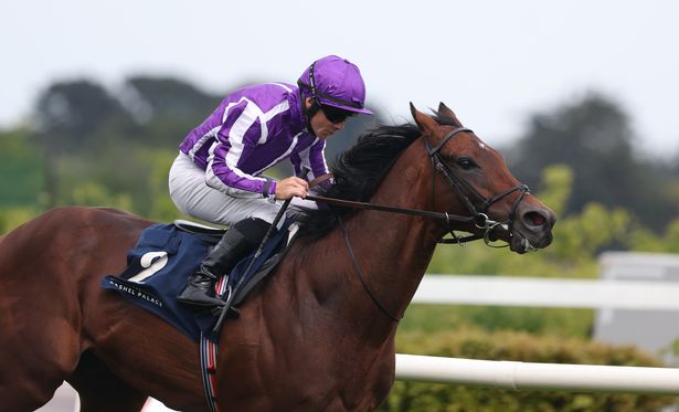 يمكن أن تقابل Delacroix أمين المظالم مرة أخرى في Leopardstown