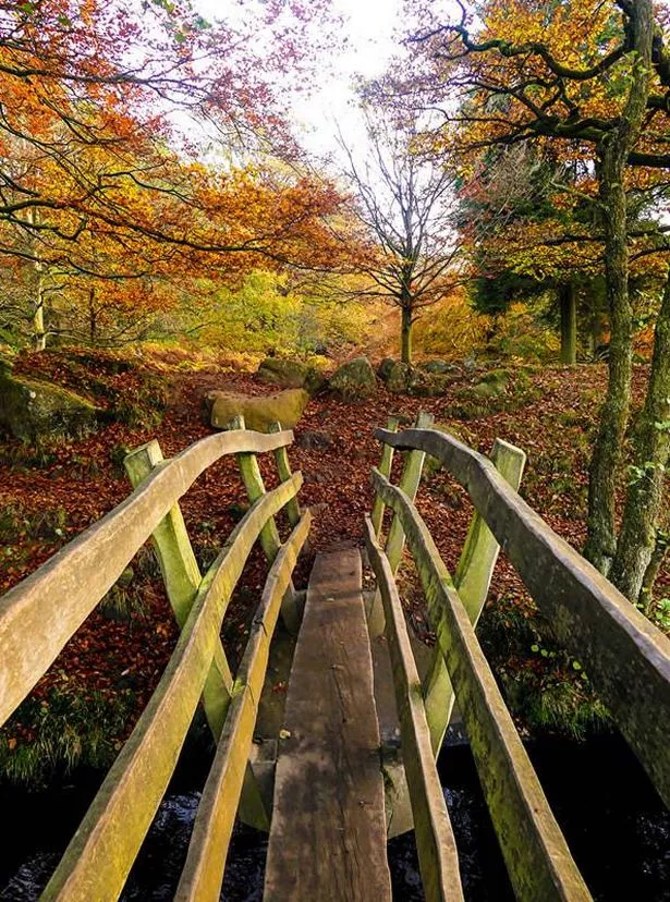 a birdge على Burbage Brook ، Padley Gorge