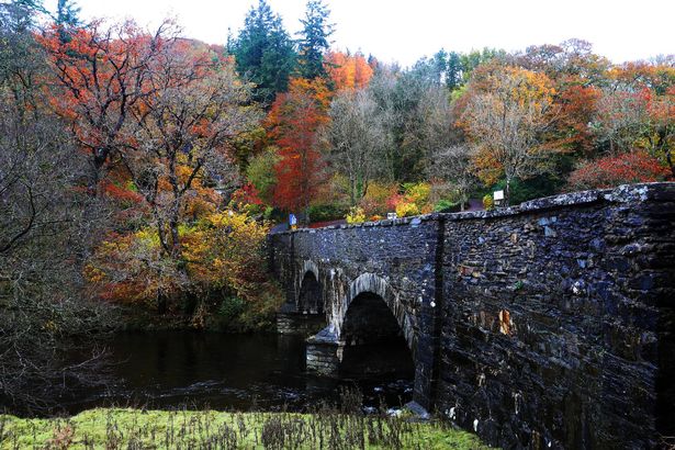 الخريف جسر بجانب المنزل القبيح بالقرب من betws y coed. الصورة: شمال ويلز لايف/ديفيد باول
