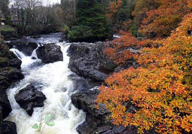 الخريف afon llugwy في betws y coed. الصورة: شمال ويلز لايف/ديفيد باول
