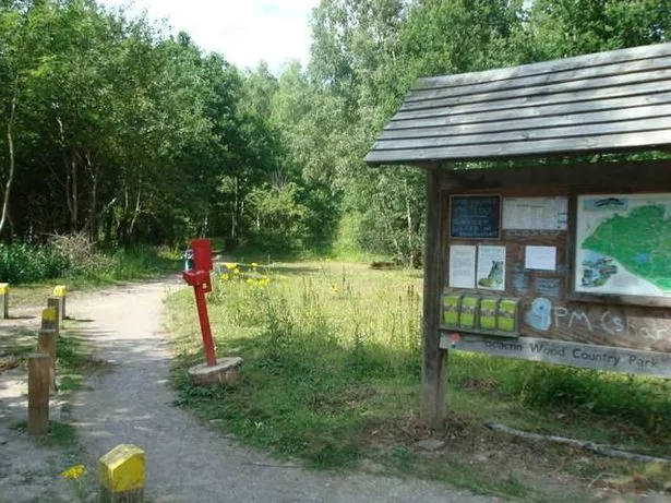 يحتوي Country Park على العديد من المسارات والطرق المختلفة التي تعد رائعة في نزهة الخريف
