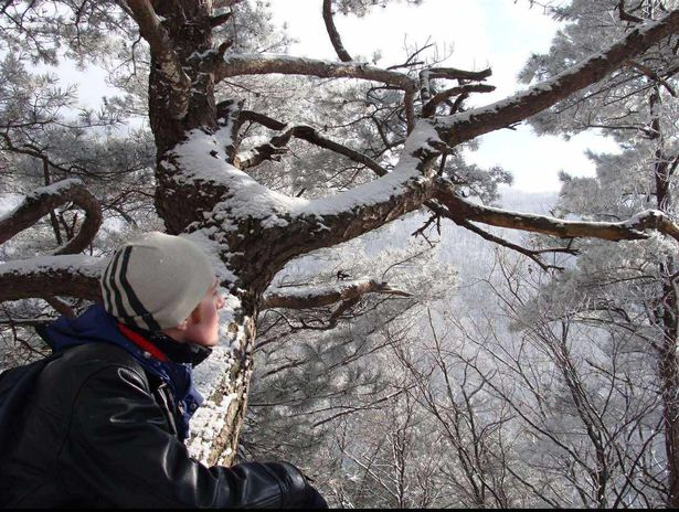 ستيفن لو ، Hike 2010 لا يزال ضائع 
