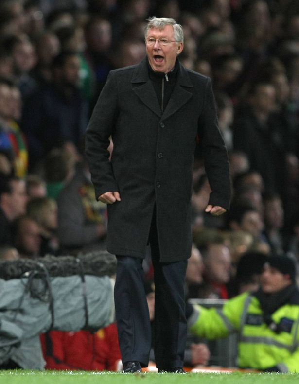 يصرخ أليكس فيرغسون على الهامش