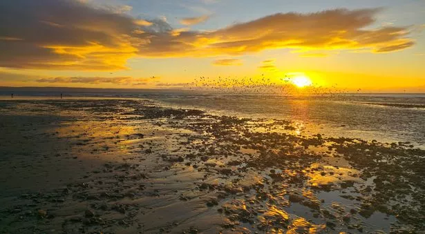 شاطئ Ogmore-By-Sea 
