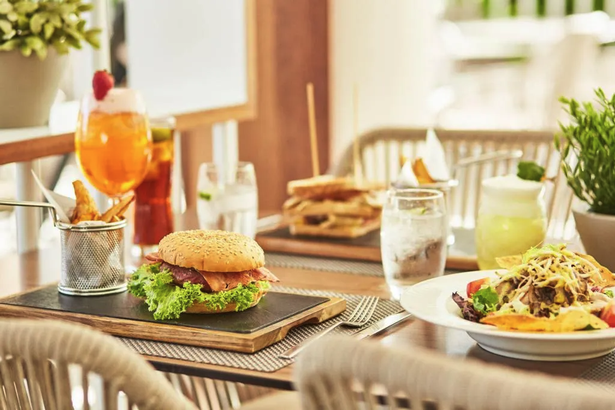 مجموعة مختارة من الأطباق التي يتم تقديمها في قصر Zafiro Palace Alcudia