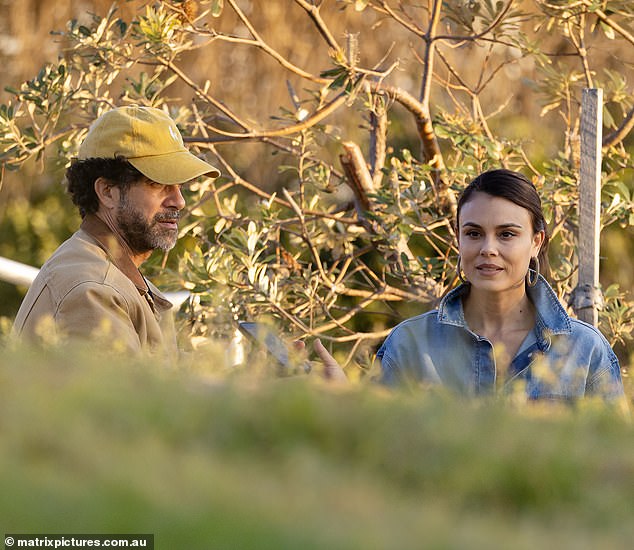 نظر الزوجان في سهولة حيث استمتعوا بغروب الشمس الخلاب