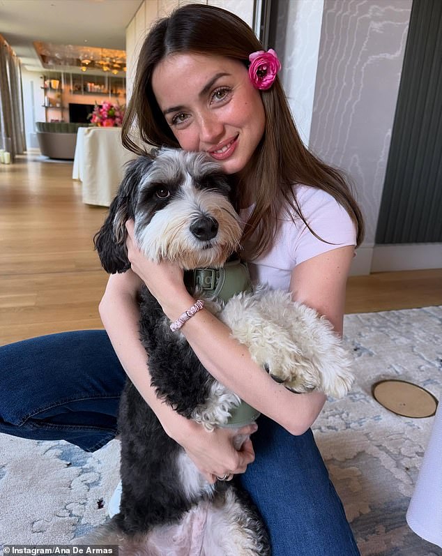 وقال مصدر حصريًا لصحيفة ديلي ميل