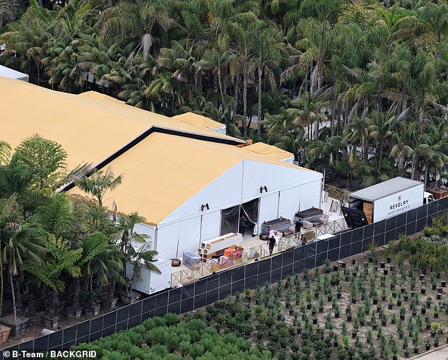 كان الموظفون يعملون بجد