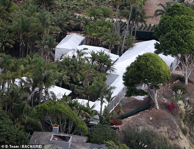 سيقول غوميز ، 33 عامًا ، 