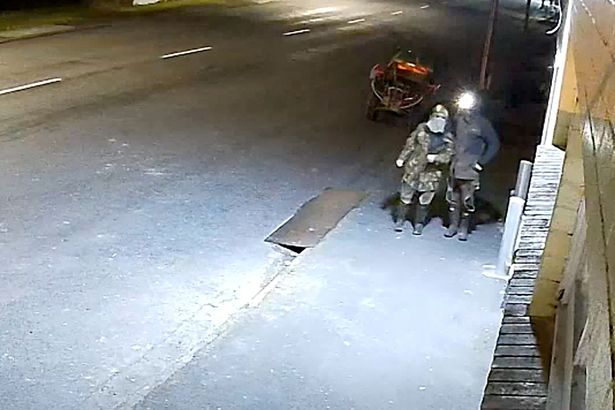 اشتعلت CCTV توم وابنته الكبرى اقتحام متجر