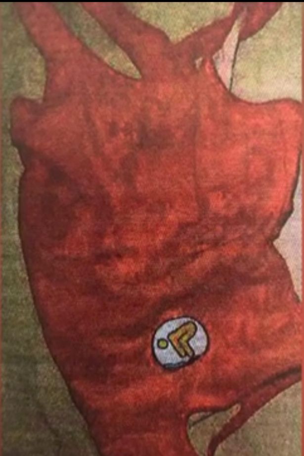 تم العثور على أزياء السباحة في الموقع