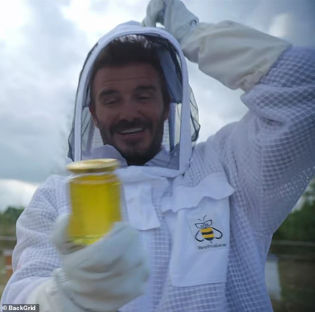 لقد كانت الفكرة منذ فترة طويلة في الركض منذ أن وجد بيكهام شغفًا بتربية النحل وصنع العسل في تأمين - والتي تفضل زوجته فيكتوريا أن تسمي 