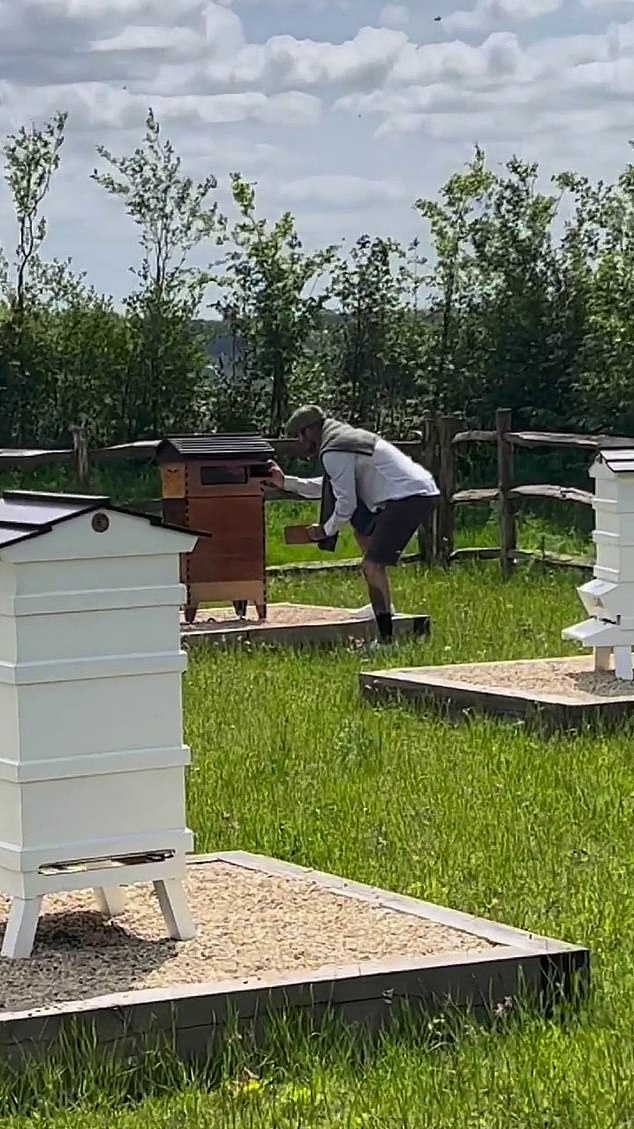 يشارك بيكهام بانتظام تحديثات وسائل التواصل الاجتماعي على أنشطته في تربية النحل بعد تثبيت سلسلة من خلايا النحل في أرضه البالثول البالغ 12 مليون جنيه إسترليني