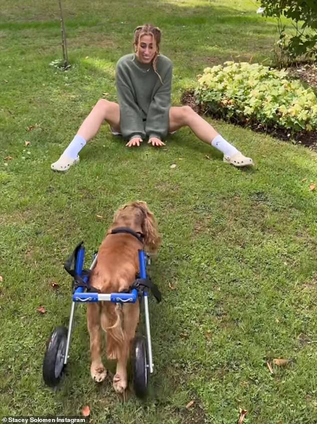 منذ ذلك الحين ، احتفظت ستايسي بأتباعها في Instagram على تعافي تيدي ، وفي يوليو ، كشفت أن تيدي الآن في كرسي متحرك