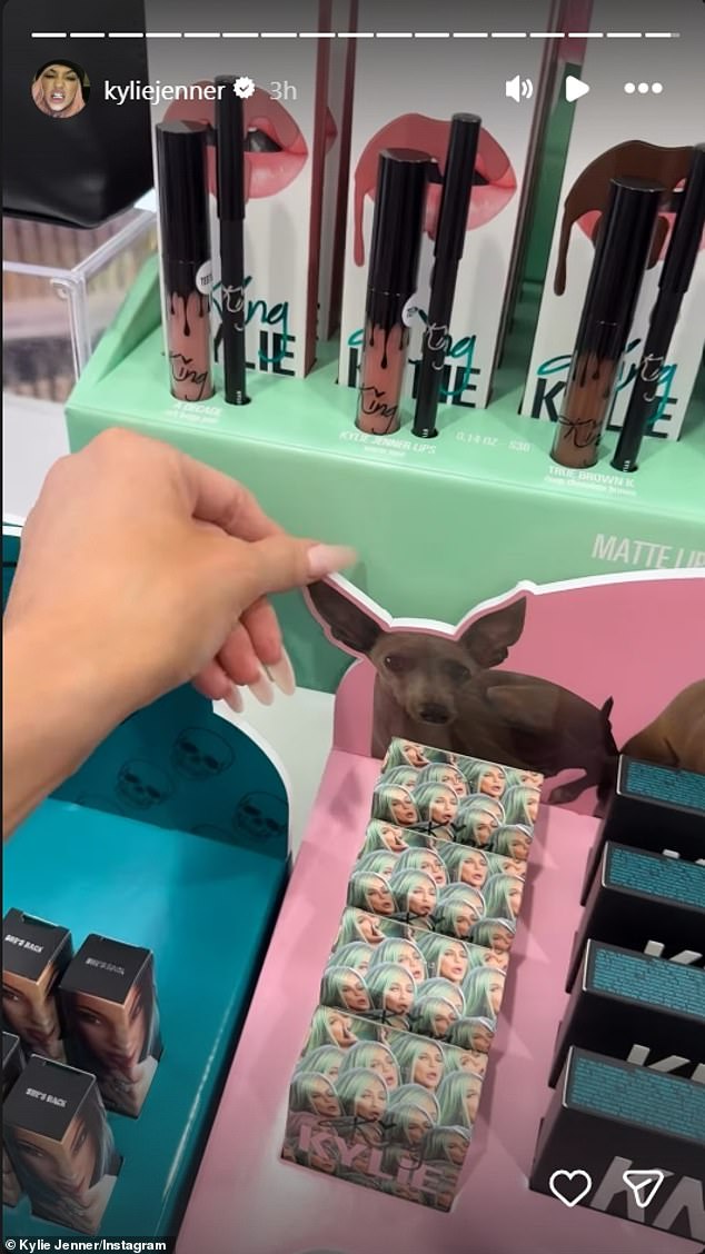 ولكن بمجرد أن ألقت مغنية فرقة فورث سترايك لمحة عن كلبها السلوقي الإيطالي الراحل نورمان في العرض، صرخت: