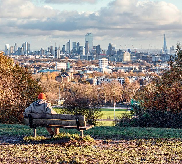 في الصورة: ألبوم صورة للمنظر من أعلى Hampstead Heath ، حيث كان من المعروف أن تايلور سويفت وجو ألوين يذهبان إلى مسارات رومانسية