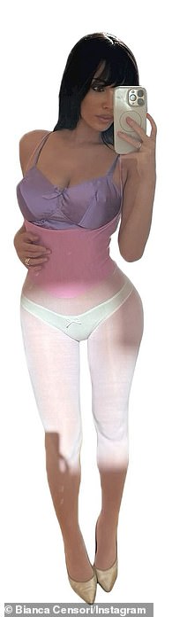 اختارت العارضة المتعطشة للشهرة التقاط الصور بنفسها بهاتفها الخلوي في المرآة