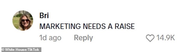لكن بعض المتابعين كانوا سعداء بالمحاكاة الساخرة للبيت الأبيض مثل مستخدم TikTok @bribisch، الذي علق قائلاً: 