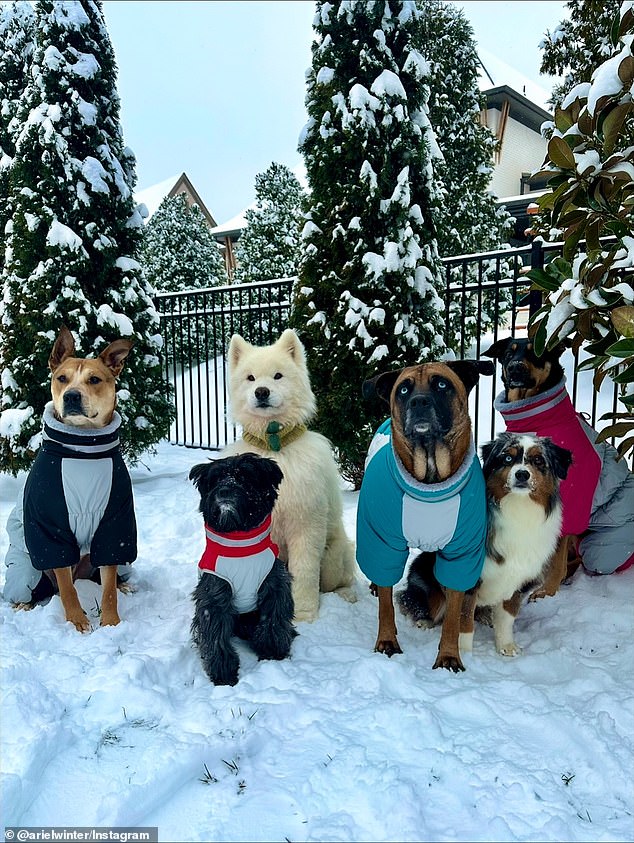 بالإضافة إلى كاسبر، يعتني أرييل أيضًا بخمسة أنياب أخرى