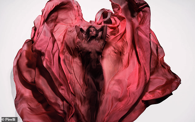 بدت عارضة الأزياء إيرينا، 39 عامًا، أقل من مثيرة بينما حافظت على تواضعها خلف ستارة وردية متدفقة