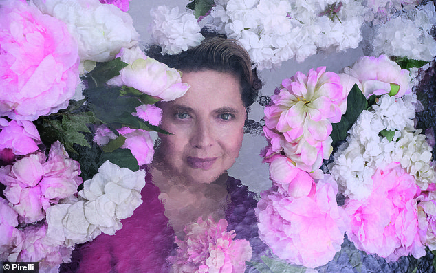 عرضت إيزابيلا روسيليني، المرشحة لجائزة الأوسكار، البالغة من العمر 73 عامًا، ملامحها التي تتحدى الشيخوخة