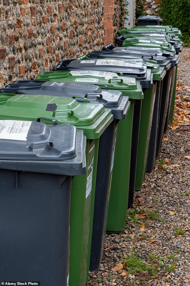 انتقد الجيران ومجموعات الحفاظ على العمل ووصفوه بأنه 