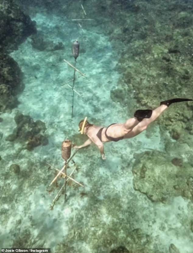 كشفت جوزي أنها رست للتو في بربادوس للقيام بمغامرتها التالية حيث شاركت لقطات مذهلة أثناء الغطس تحت الماء