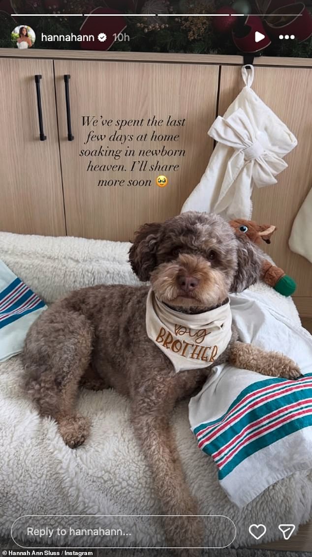 شاركت Sluss الأخبار السعيدة عبر قصتها على Instagram، حيث نشرت صورة رائعة لكلبها وهو يرتدي باندانا 