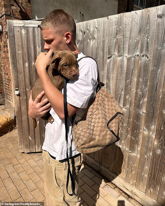 كان رد فعل هولي هو محاولتها أخذ كلب فريدي - وهو متنمر يدعى بابلو - منه، مما جعله أكثر انزعاجًا