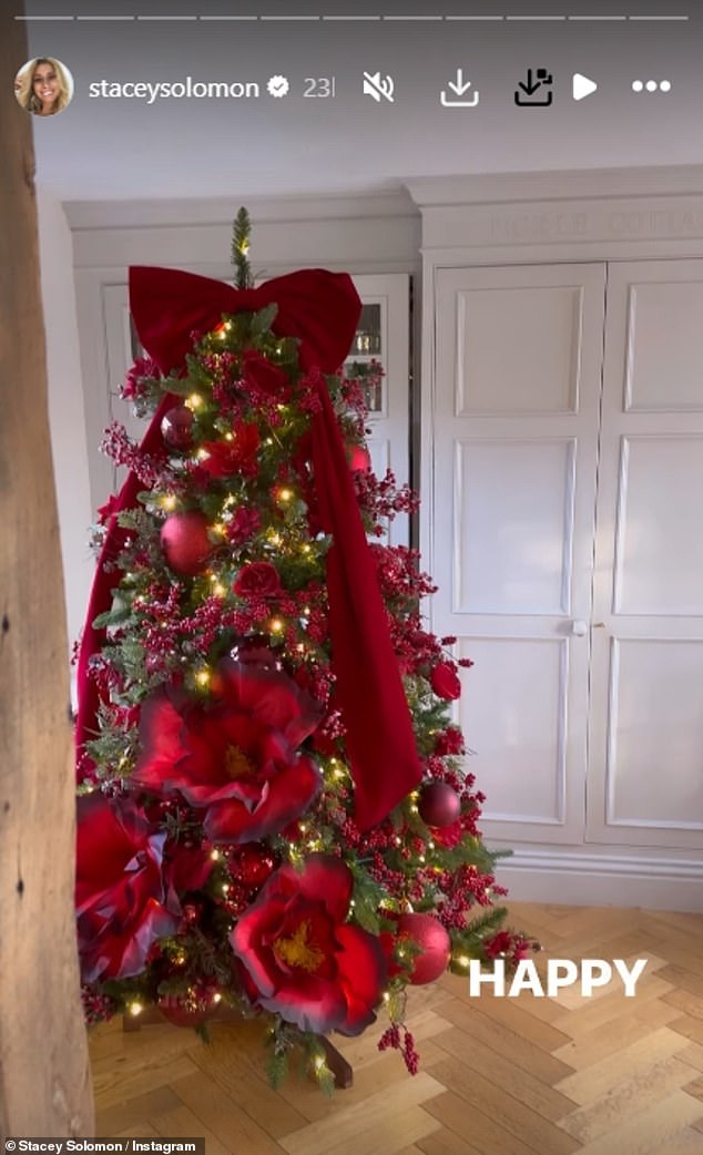 عرضت ستايسي شجرة عيد الميلاد الضخمة ذات الطابع الأحمر في الصالة الخاصة بها، والتي تضمنت زهورًا صناعية عملاقة بقيمة 70 جنيهًا إسترلينيًا وأشرطة حمراء وورودًا وتوتًا.