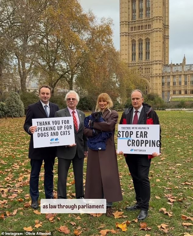 وسيحظر مشروع القانون استيراد الكلاب ذات الأذنين المقطوعة والذيول الراسية، وكذلك القطط منزوعة المخالب