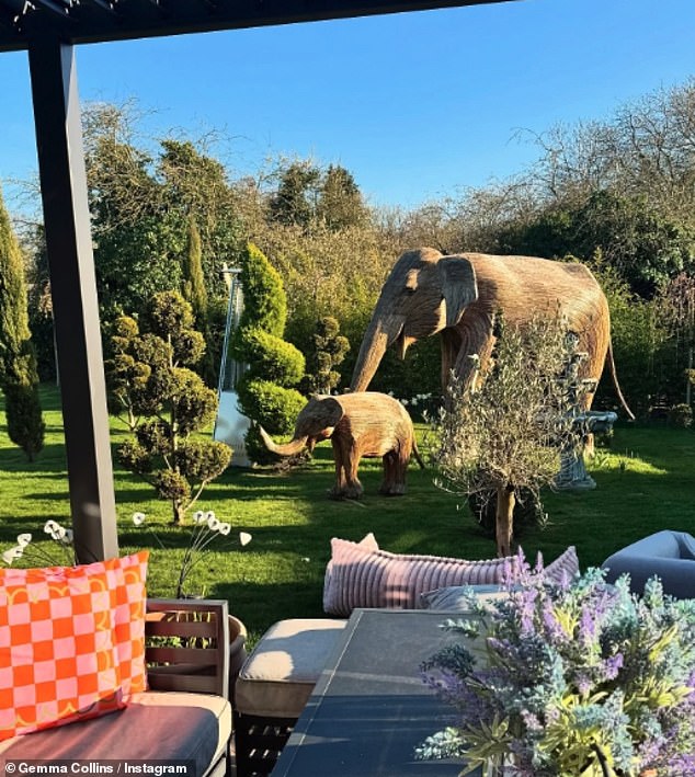 ولكن الآن قالت جيما: 