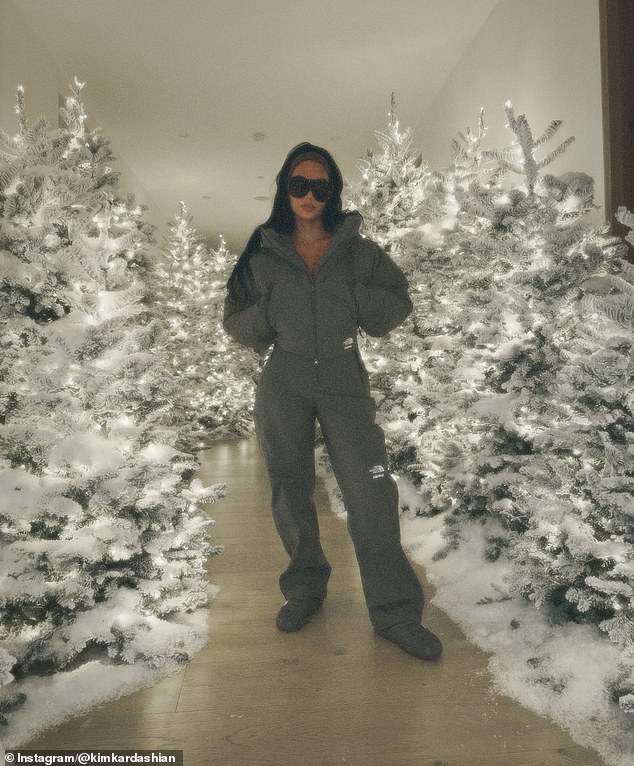 بدا نجم تلفزيون الواقع جاهزًا للثلوج في مجموعة شتوية رمادية