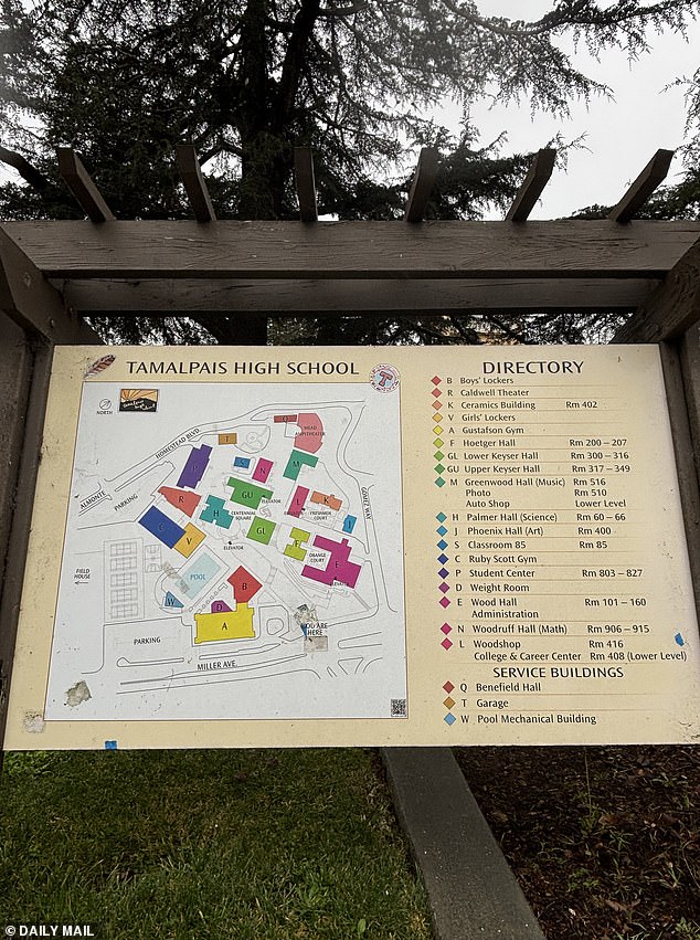 التحق شاكور بالمدرسة لفترة وجيزة فقط قبل متابعة الموسيقى