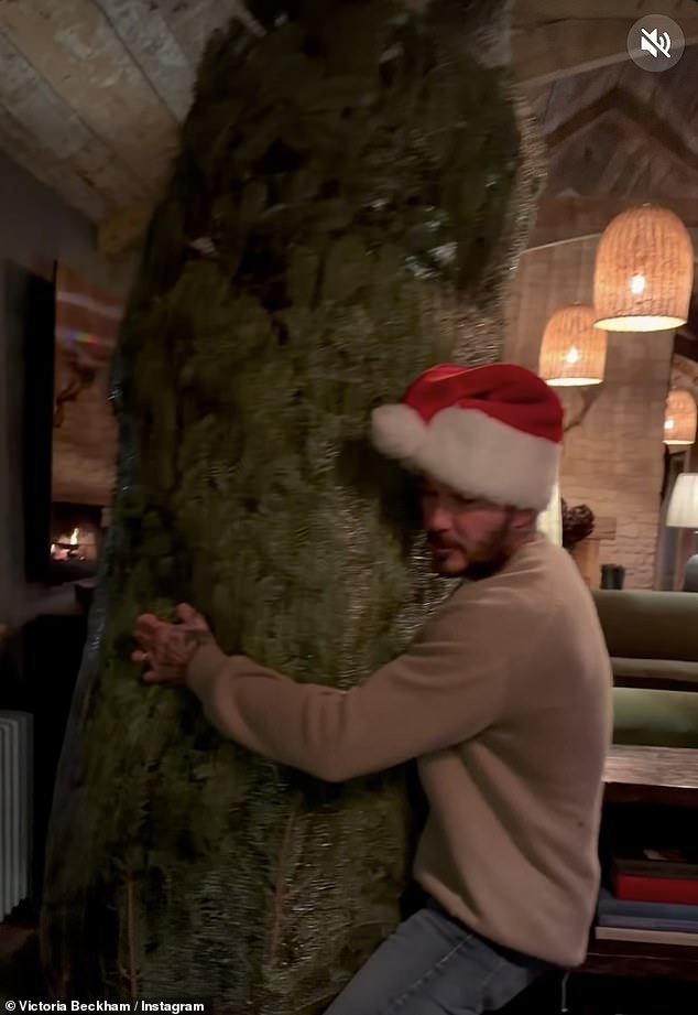 ثم حمل الشجرة إلى منزلهم، وأزال الشبكة، وعلق الأضواء