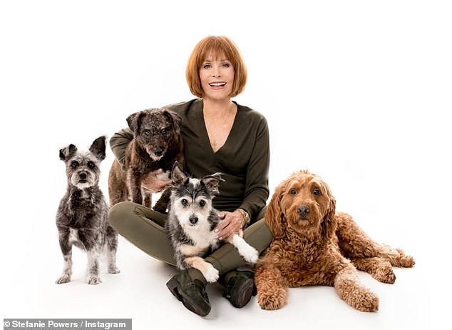 شاركت أيقونة التلفزيون يوم الأربعاء بطاقة عيد ميلاد لطيفة مع أطفالها ذوي الفراء. 