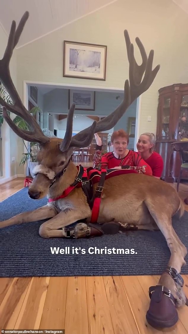 وأظهر الفيديو بولين وهي تجلس على أرضية غرفتها مع ابنتها لي، التي قامت بزيارة مفاجئة من تسمانيا. احتل مكان الصدارة في الفيديو غزال الرنة كامل النمو والذي جلس بلا مبالاة في منتصف المكان