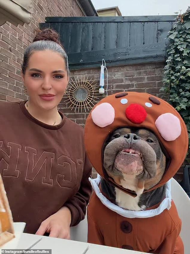 وأكدت مالكته مارين بيترز، التي تدير حساب TikTokaccountbundleofbullies، أنها كانت في رحلة إلى النمسا عندما توفي كلبها فجأة، حسبما أكدت يوم الأربعاء.