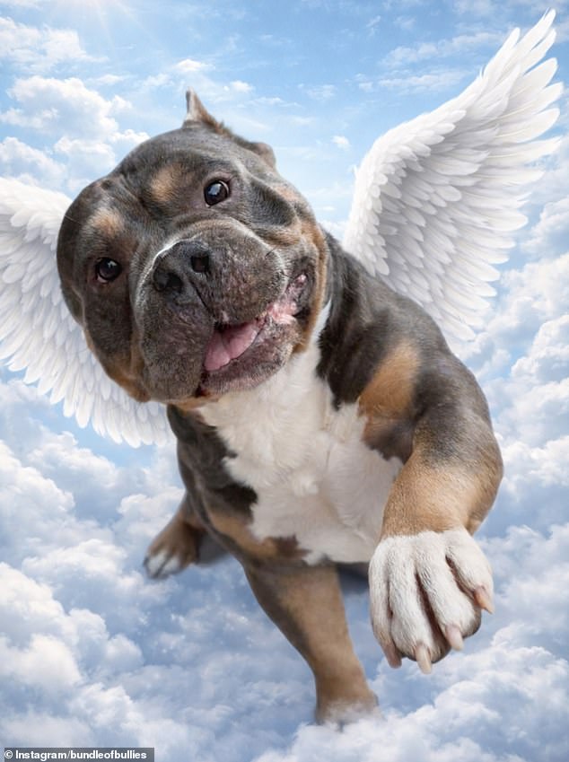 في الساعات التي تلت تحديثها المدمر على وسائل التواصل الاجتماعي حول رافي، شاركت صورًا متعددة له جنبًا إلى جنب مع تعليقات حول حزنها