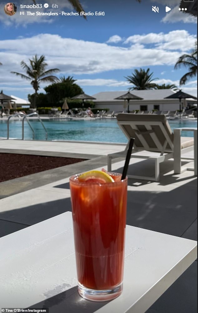 نشرت نجمة شارع التتويج صورة لها على موقع Stories لها على متن طائرة قبل أن تنشر صورة لمشروب بالقرب من حمام السباحة