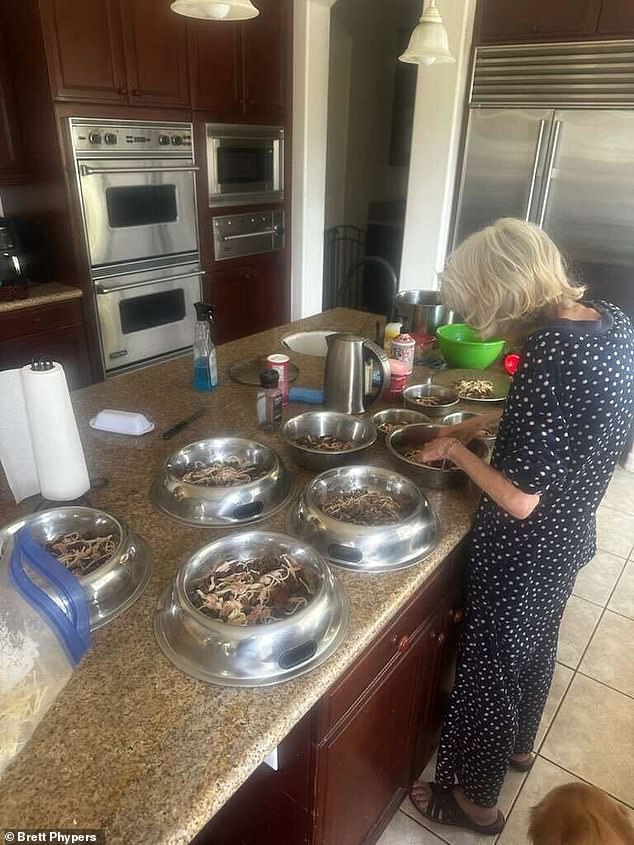 ادعى مصدر لصحيفة ديلي ميل أن باتريشيا وستيفن أنفقا 