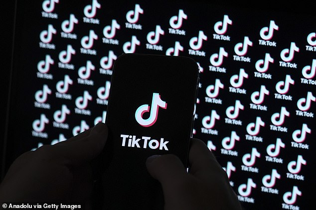 ستستخدم مجموعة الفنانين TikTok لمساعدتهم في العثور على رواد الأعمال الناشئين (صورة مخزنة)